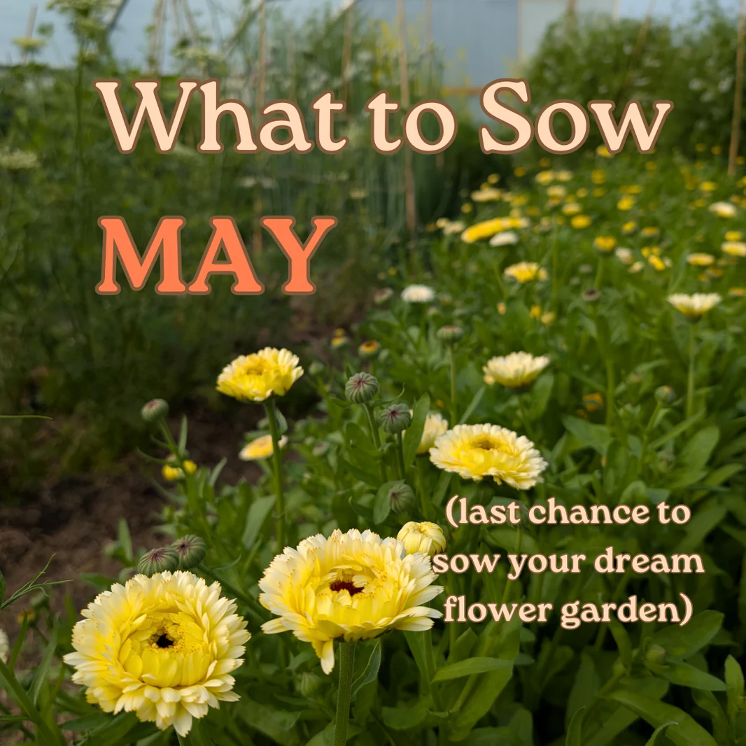 Cultivate Your Dream Garden Today